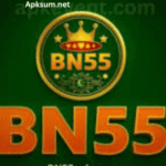 BN55 Game