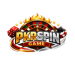 PKRSPIN Game